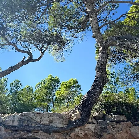 Cassa Jessi * Tarragona
