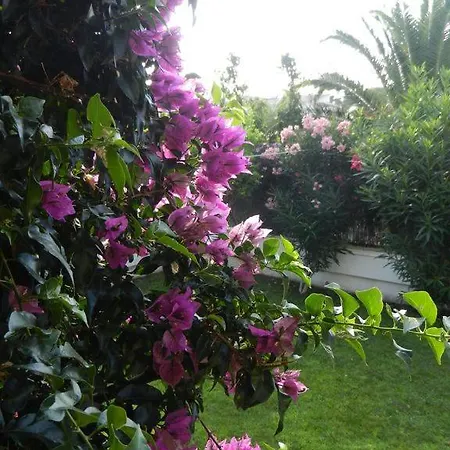Villa Cassa Jessi