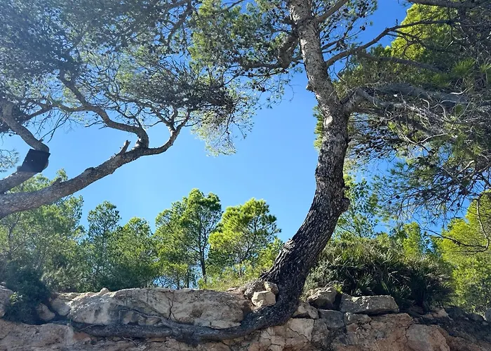Cassa Jessi * Tarragona