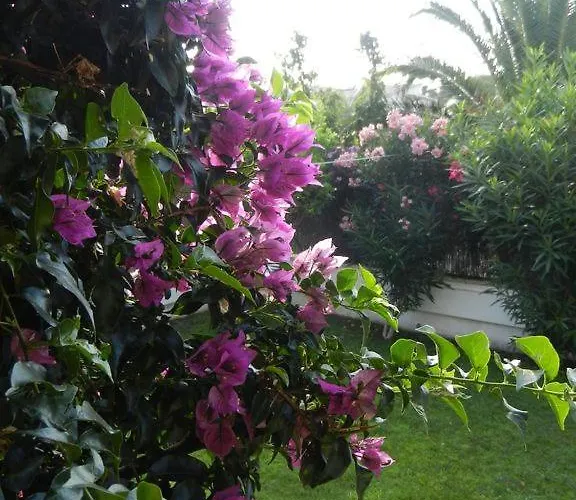 Villa Cassa Jessi